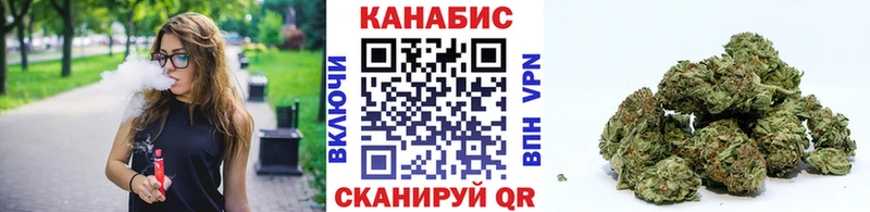 Каннабис ГИДРОПОН  Ленинградская 